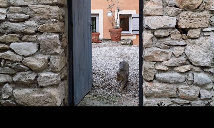 Nyons Casa | Una casa en la Provenza