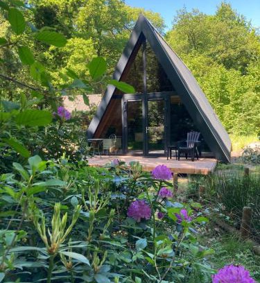 Norg Casa | A-huis in het bos van Drenthe