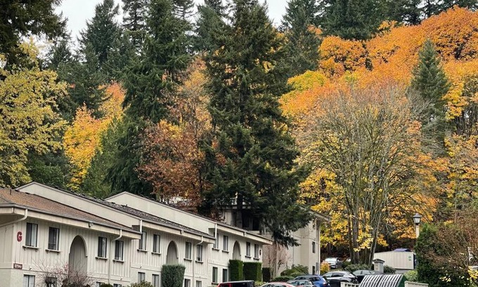 Totem Lake Apartamento | A Jewel in Totem Lake Kirkland Washington!