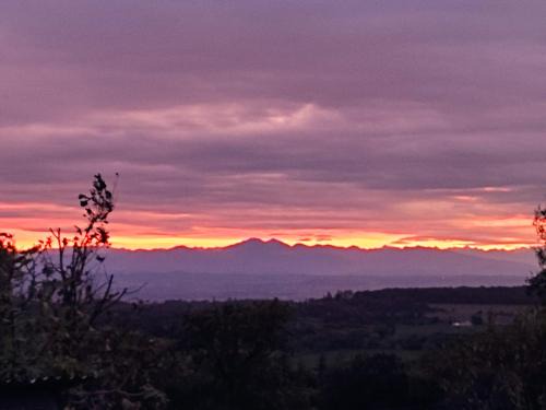 Montolieu Casa | A la campagne
