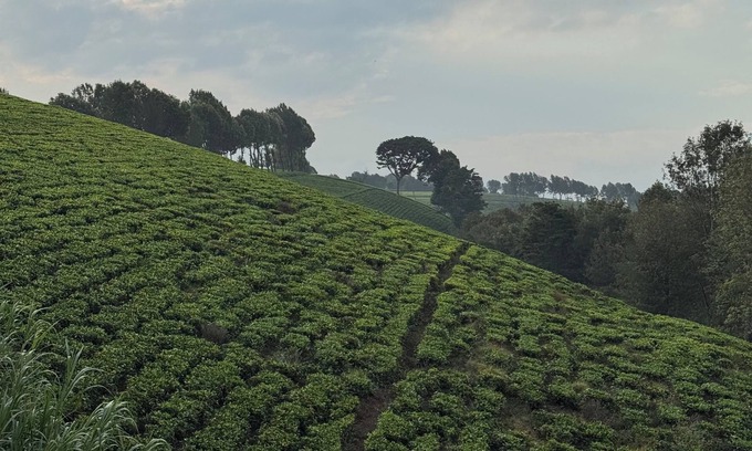 Nairobi Chalet De Esquí | A little bit of heaven in TIGONi
