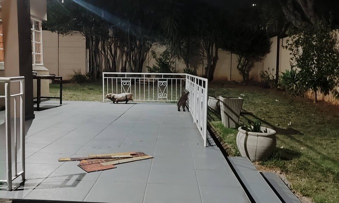 Greater Johannesburg Metropolitan Area Casa | A Mother a Sons and Daughter Approach Towards Modern Living