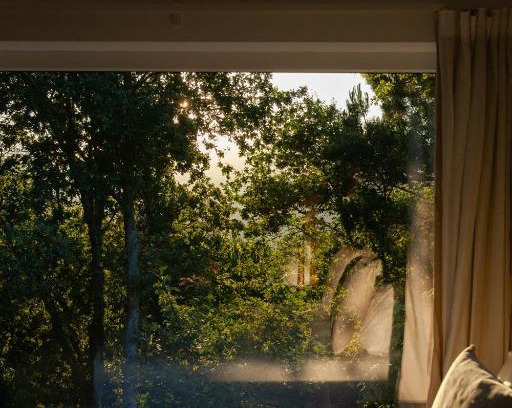 Cinfaes Cama Y Desayuno | A Padaria Farmhouse
