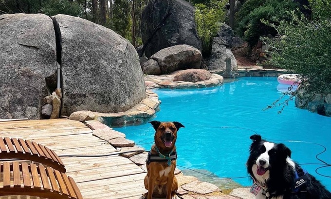 Hovea Cabaña | A Paradise for Dogs and a Magical Place for Humans