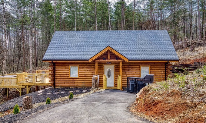 Newport Cabina | A Playful Bears Cabin: Get Ready for a Beary Good Time in the Smokies!