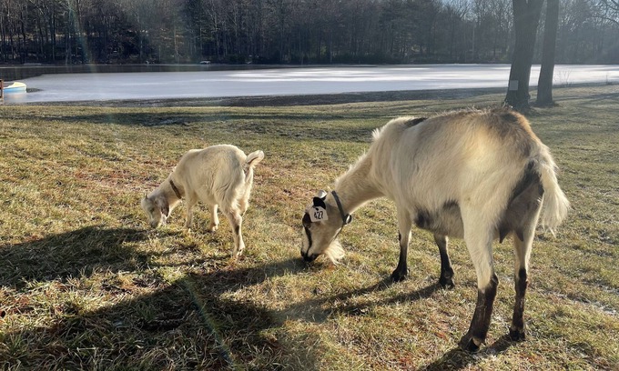 Milford Cabina | A private zoo in your backyard