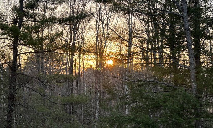 Sandwich Casa | A quiet, secluded getaway, yet still close to everything!