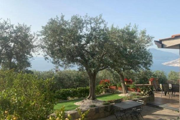 Priora Cama Y Desayuno | A Sorrento B&B,relaxing location with Seaview