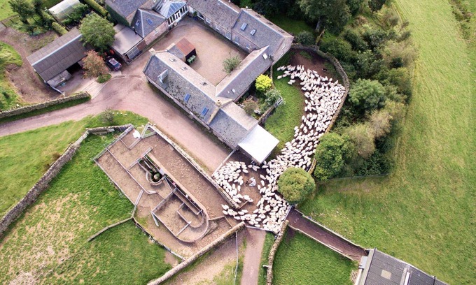 Penicuik Cabaña | A stylish country cottage near Edinburgh. Wood-fired sauna. Pet friendly.