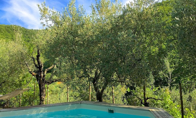 Toppole Villa | Villa toscana, pequeña piscina privada y jardín de olivos, mucho encanto