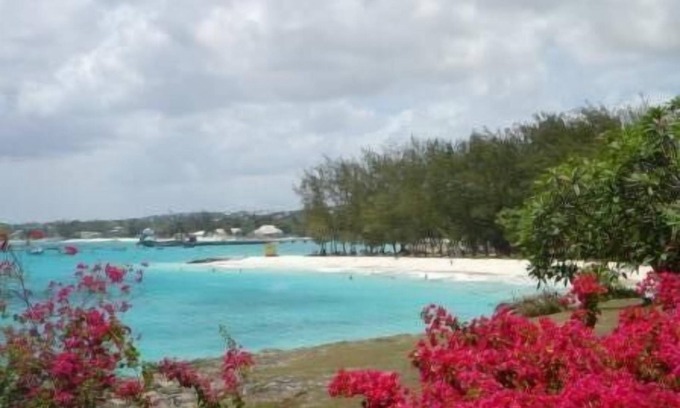 Enterprise Casa | A very comfortable house, close to Miami beach with a large tropical garden
