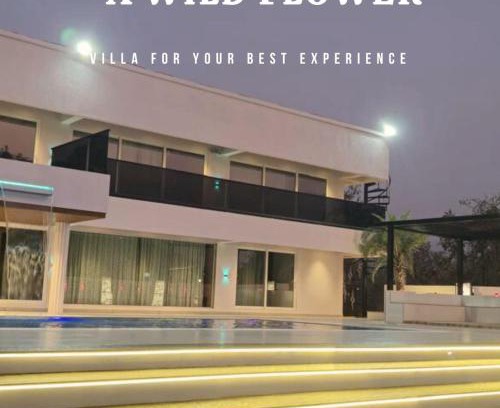 Amarnath Villa | A Wild Flower