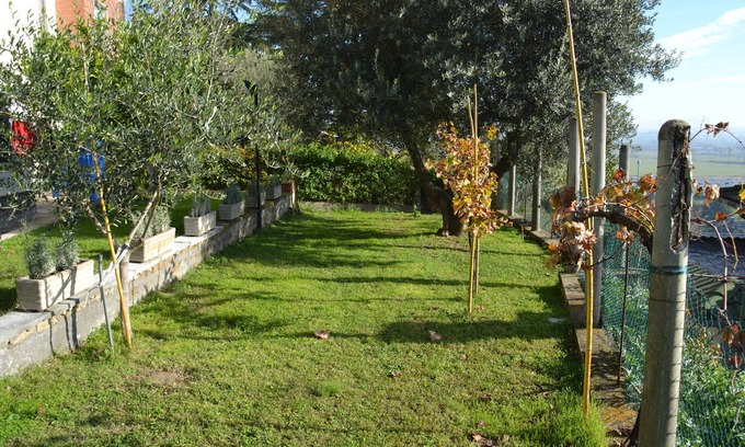 Castelnuovo di Porto Cama Y Desayuno | A1-GIRASOLE BED AND BREAKFAST
