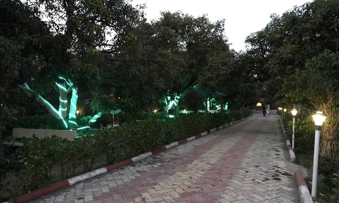 Talala Hotel | Aarambh Jungle Vista Resort, Gir