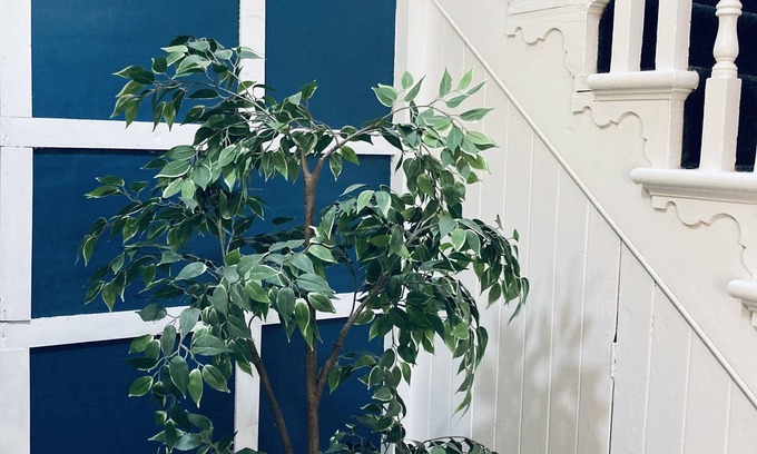Liverpool Casa | Abbeyfield Guesthouse