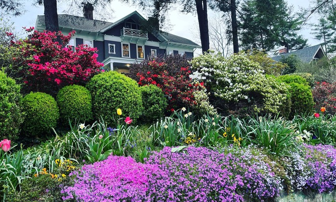 Historic Montford Cama Y Desayuno | Abbington Green Bed & Breakfast Inn