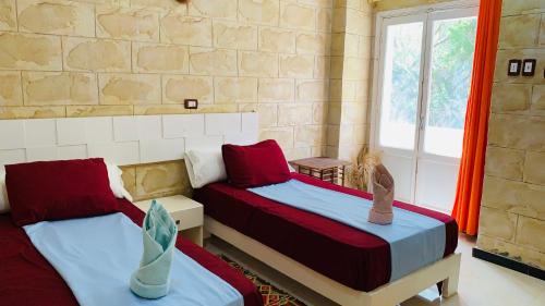 Aswan Casa | ABU Guest House