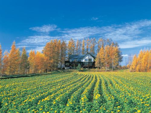 Biei Casa | Adagio Hokkaido