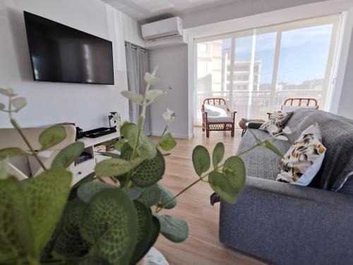 Coveta Fuma Apartamento | Adelmar
