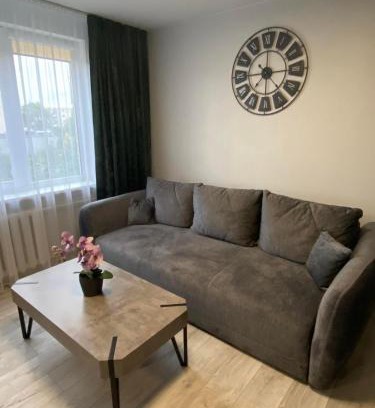 Panevezys Apartamento | ADI Apartamentai