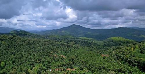 Samse Casa | Adis Home with Private Stream and Waterfalls