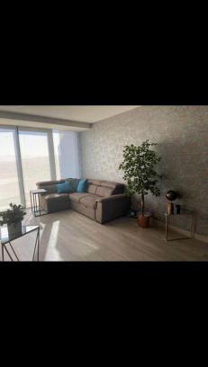 Tijuana Apartamento | Admant 1706