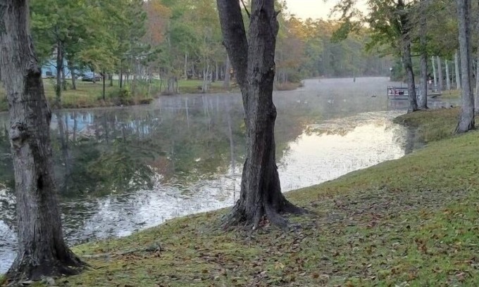 Georgetown Cabina | Adorable 2 story lake front setting.