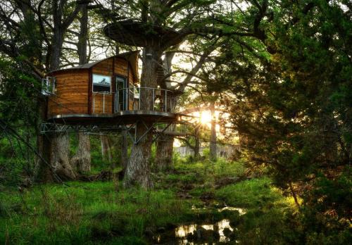 Spicewood Casa | Adventures Await at this Stunning Tree House Retreat in Texas