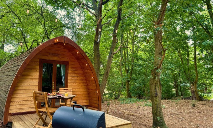 West Stow Cabina | Aelfred Pod - in a calm woodland setting- ready for glamping?