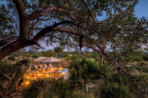 Thorny Bush Game Reserve Cabina | Africa on Foot