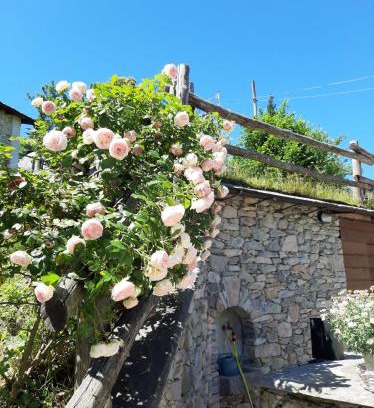 Roccaforte Mondovi Casa | Affittacamere La Lea