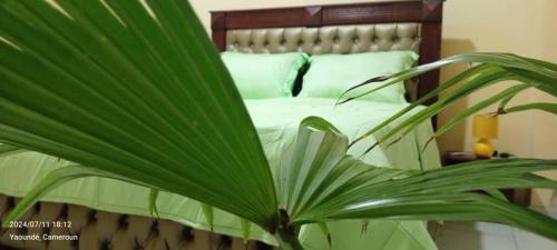 Yaounde Complejo | AFRIEUROTEXT Kamerun-High Standing-Appartements-Wifi-Security-Restaurant-modern Kitchen