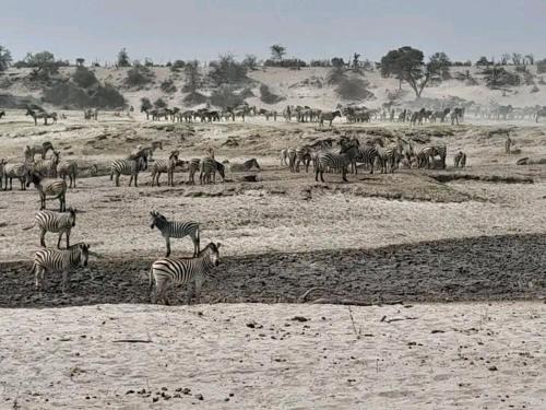 South-East District Apartamento | Afrinatural Safaris