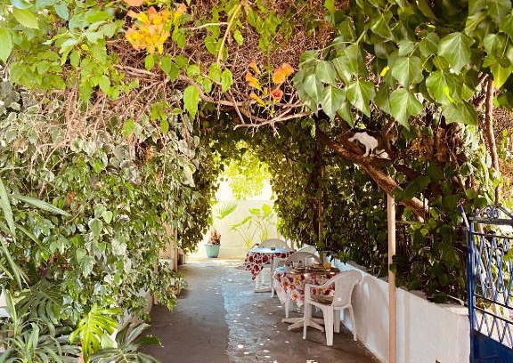Archangelos Casa | Afroditi Pension