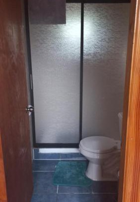 Villarrica Casa | Agradable Cabaña inserta en bosque nativo