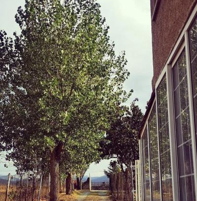 San Cristobal de Segovia Casa | Agradable casa con jardín: Casasola