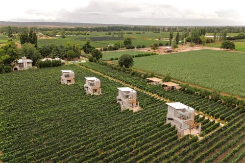 Luján de Cuyo Hotel | Agrelo Vines Lodge