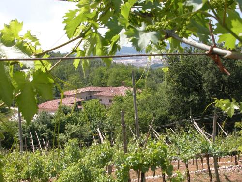 Sant'Ambrogio di Valpolicella Casa | Agriturismo Ca' Verde