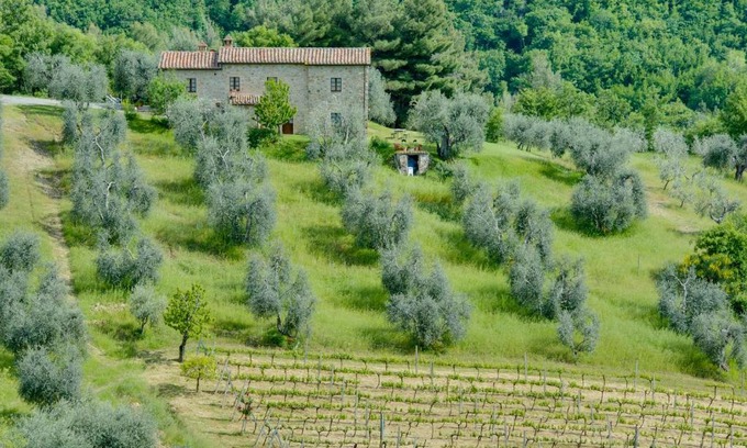 Castiglione d'Orcia Casa | Agriturismo Bindozzino
