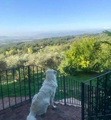 Sassofortino Casa | Agriturismo Campo al Crognolo