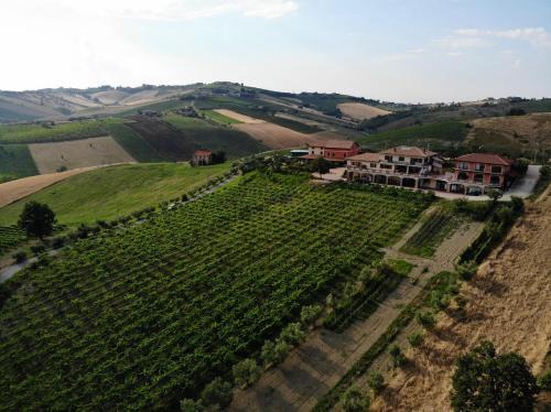 Torano Nuovo Casa | Agriturismo Emidio Pepe