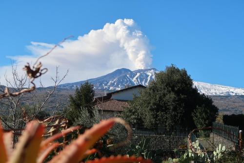 Piedimonte Etneo Casa | Agriturismo Etna-Mare