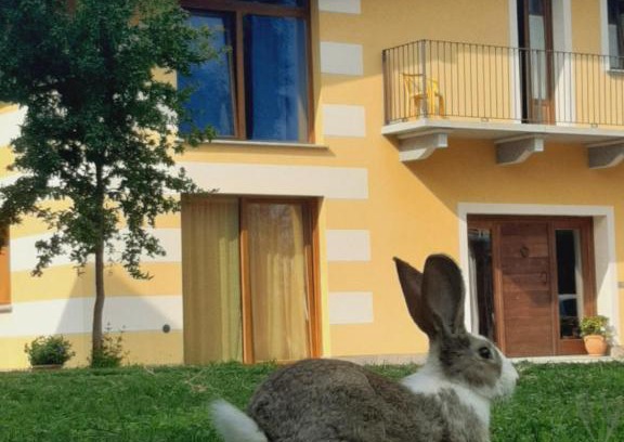 Dronero Casa | Agriturismo Fior Di Campo