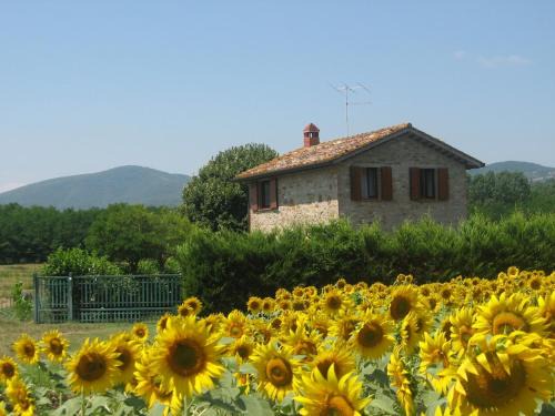 Umbertide Casa | Agriturismo gli Arrighi - Cà di Giulia