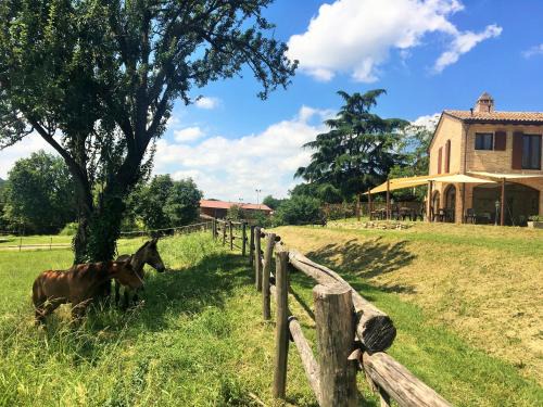 Borghetto Casa | Agriturismo Il Colle del Falco