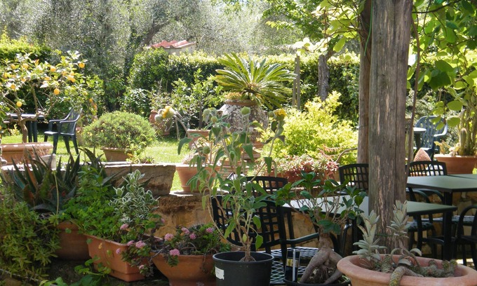 San Pietro in Bossolo Otro | Agriturismo Poggio Alle Lame