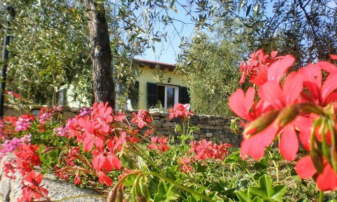 Santo Stefano al Mare Casa | Agriturismo Green House