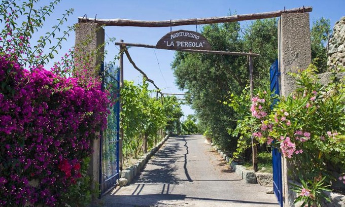 Succhivo Casa | Agriturismo La Pergola