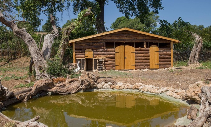 Sarteano Otro | Agriturismo Le Anfore