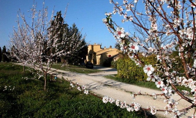 Loreto Aprutino Casa | Agriturismo Le magnolie